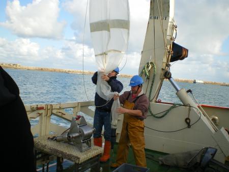 r�cup�ration de plancton..